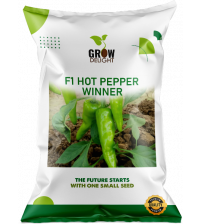 Chilli / Hot Pepper F1 Winner 10 grams